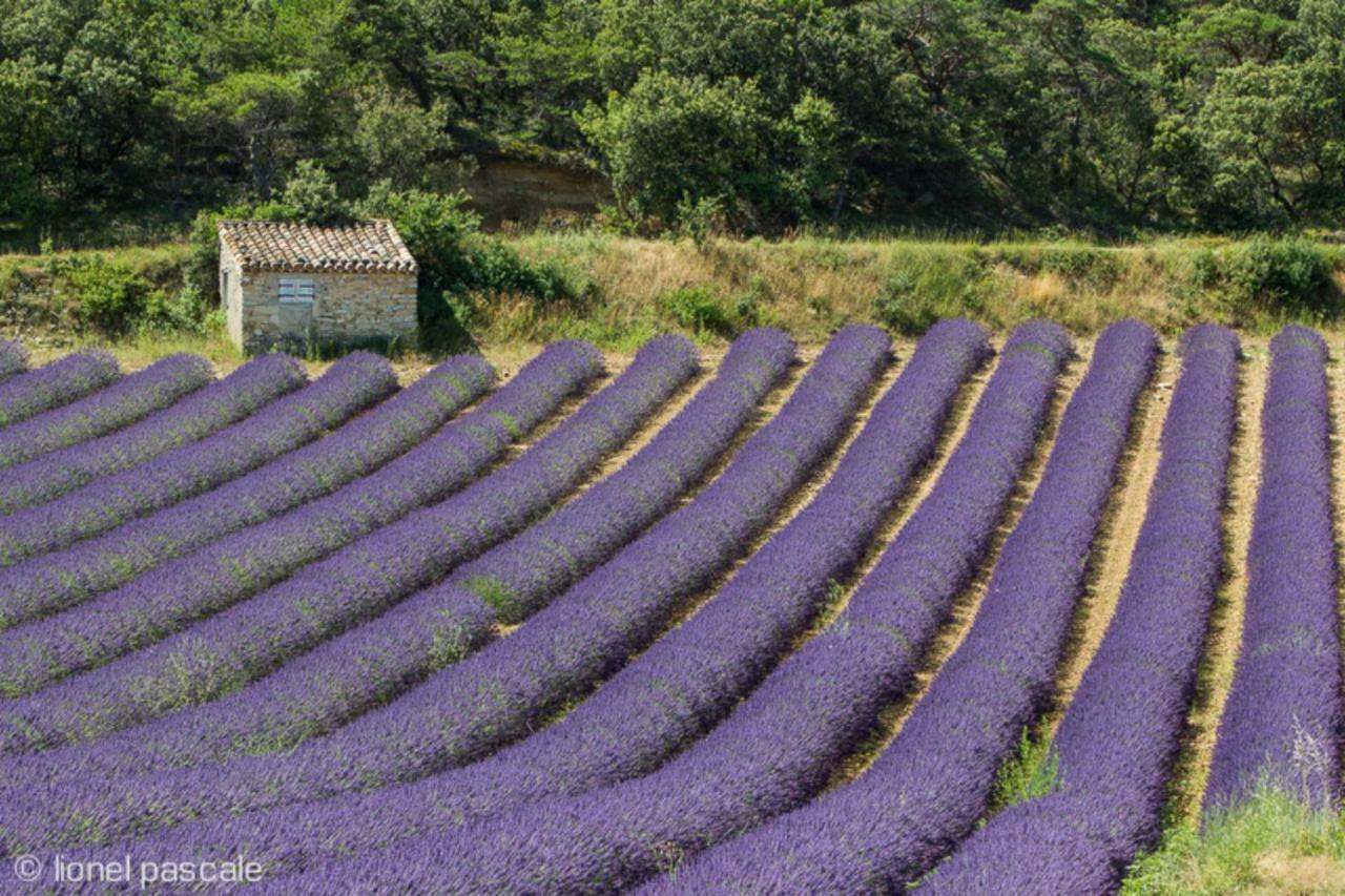 Gite Marius Mirabel-aux-Baronnies Luaran gambar